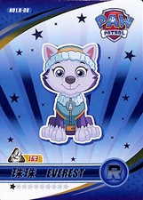 2024 paw patrol d'occasion  Blagnac