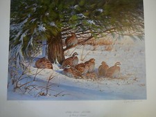 Owen gromme midday for sale  Faribault