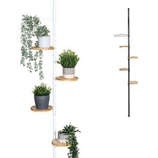 Bremermann teleskop blumenrega gebraucht kaufen  Delmenhorst