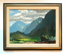 Peter hayward kahaluu for sale  American Canyon