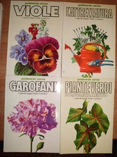 Garofani piante verdi usato  San Giorgio di Piano