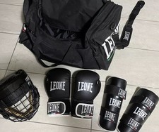 Lotto leone boxe usato  Castelleone