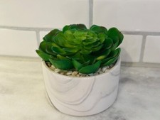Succulents plants artificial for sale  Troy