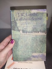 Affinità elettive libro usato  Bergamo