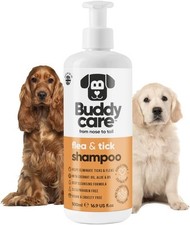 Buddycare shampoo per usato Buddycare shampoo per usato  Anzio