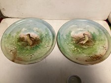 Ancienne paire plats d'occasion  Toulouse-