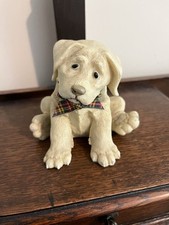 Cute companions puppy for sale  WHITCHURCH