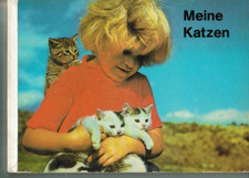 Katzen pappbilderbuch kinderbu gebraucht kaufen  Deutschland