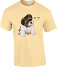 Talkin shih tzu for sale  Kimberling City