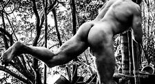 Original male nude for sale  Tampa
