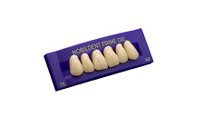 Denti resina acrilica usato  Spedire a Italy