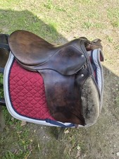 ponysattel 15 gebraucht kaufen ponysattel 15 gebraucht kaufen Emsbüren