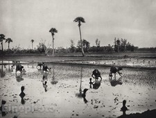1928 original india for sale  Tampa