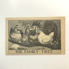 Family tree human for sale  Portland