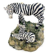 Zebra mama laying for sale  Windermere