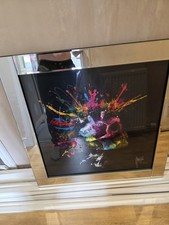 murciano for sale murciano for sale GLASGOW