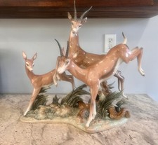 Rare flight gazelles for sale  Nashville