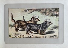 Antique 1907 lithograph for sale  WORTHING