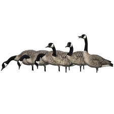 Avian axp full for sale  Lincoln