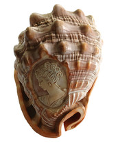 Vintage cameo conch for sale  Murray