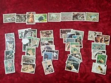 Panini bebes animaux d'occasion  Paris XV