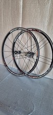 Ruote campagnolo zonda usato  Monsummano Terme