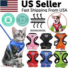 Cat dog pet for sale  Pompano Beach