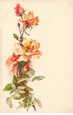 Illustrator klein meissner d'occasion  Expédié en Belgium