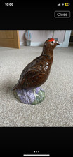 Red grouse royal for sale  CUPAR