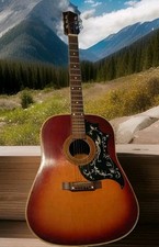 Vintage 1970 gibson for sale  West Newton