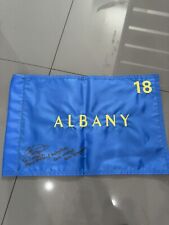 Pin flag albany for sale  Murdock