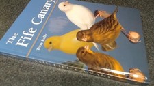 Fife canary terry for sale  UK