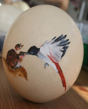 Ostrich egg hand for sale  SELBY
