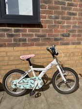 Apollo butterflies kids for sale  FLEET
