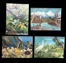 Vintage 1973 lenticular for sale  Vestal