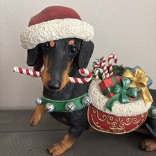 Christmas dachshund weiner for sale Christmas dachshund weiner for sale  Oviedo