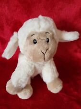 Minifeet sheep lamb for sale  WHITSTABLE