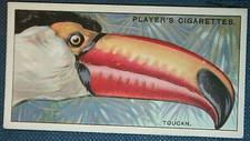 Cartão ilustrado TOCO TUCAN vintage 1929 GD23 comprar usado  Enviando para Brazil