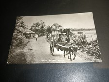 Carrinho de boi e cena de vila tradicional, CEYLON/SRI LANKA, Thomas, Londres RP comprar usado Carrinho de boi e cena de vila tradicional, CEYLON/SRI LANKA, Thomas, Londres RP comprar usado  Enviando para Brazil