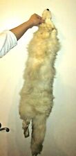 Whole pelt white for sale  Las Vegas