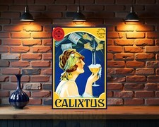 Placa de metal pesado vintage para vinho espumante espanhol Calixtus - 24 x 16 (60 x 40 cm), usado comprar usado  Enviando para Brazil