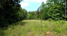 4.0 acres vacant for sale  Ripley