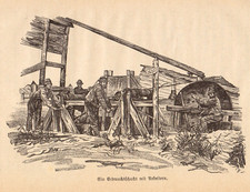 Galizien anno 1895 gebraucht kaufen  Gelsenkirchen