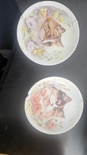 Royal worcester england for sale  NEWPORT