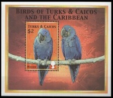Turks caicos 2000 usato  Spedire a Italy