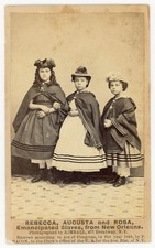 Rebecca augusta rosa for sale  Jamaica Plain