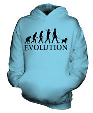 Bichon frise evolution for sale  UK