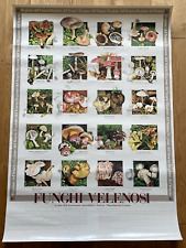 Funghi velenosi stampa usato  Schio