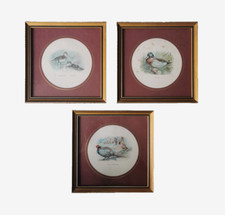 Bird prints vintage for sale  LARNE