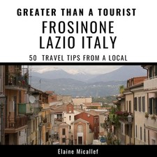 Greater than tourist gebraucht kaufen  Versand nach Germany